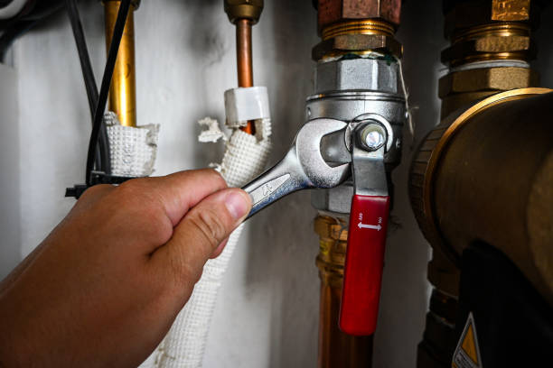 Best Clogged Drain Plumber  in Graceville, FL
